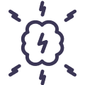 Brain